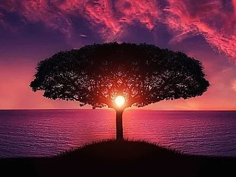 Peaceful Meditation